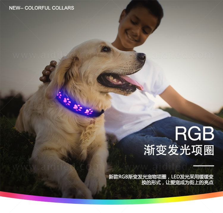 C14RGB_01.jpg