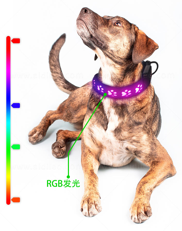 C14RGB_06.jpg