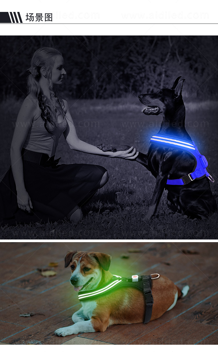 H4_13.jpg